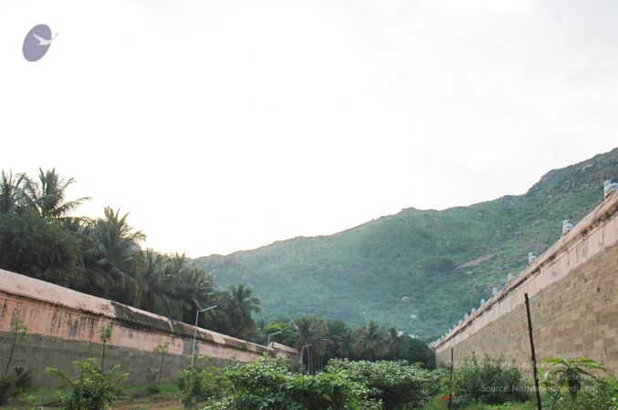 1989-GANESHA TiruvannamalaiTemple BanyanTreeGaneshaArea Nov2006 58-58.jpg