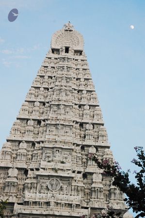 1989-GANESHA TiruvannamalaiTemple BanyanTreeGaneshaArea Nov2006 63-63.jpg