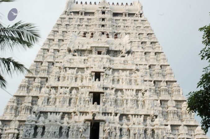 1989-GANESHA TiruvannamalaiTemple BanyanTreeGaneshaArea Nov2006 71-71.jpg