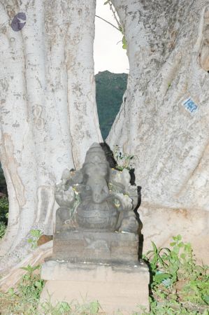 1989-GANESHA TiruvannamalaiTemple BanyanTreeGaneshaArea Nov2006 74-74.jpg