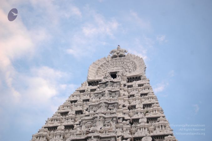 1989-GANESHA TiruvannamalaiTemple BanyanTreeGaneshaArea Nov2006 78-78.jpg