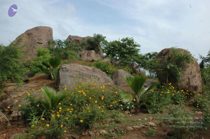 19890520 Photo 103 1ZY ydP3 PW3AZqCXc9fYJmn0CDAdS3Jf.jpg