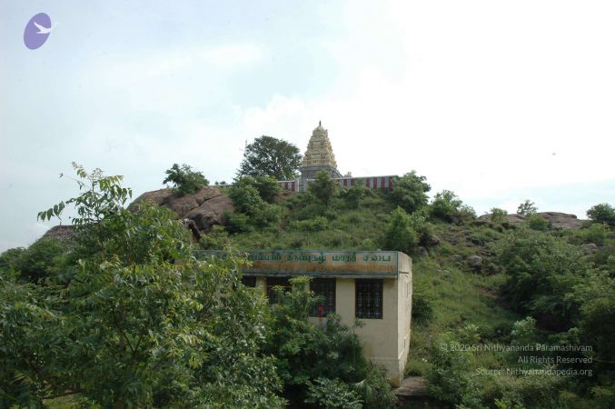 19890520 Photo 106 1IvDHHqP8yvqm8-QlddkURHxrN xC1FJ3.jpg