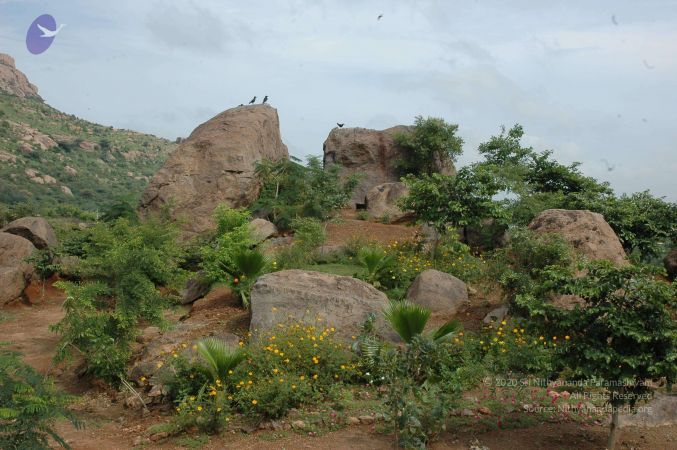 19890520 Photo 107 1OjwrgbxOiZ QcrJErxquNsQ4xD3h4rJT.jpg