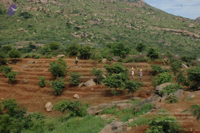 19890520 Photo 108 1tW3CVtwUuH-05UwtdXwQFFWlwEeDHnUT.jpg