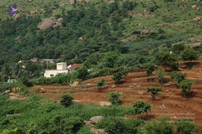 19890520 Photo 109 1jluPqS05SjX4ivrdcXfxXw5CQhoqpT3T.jpg