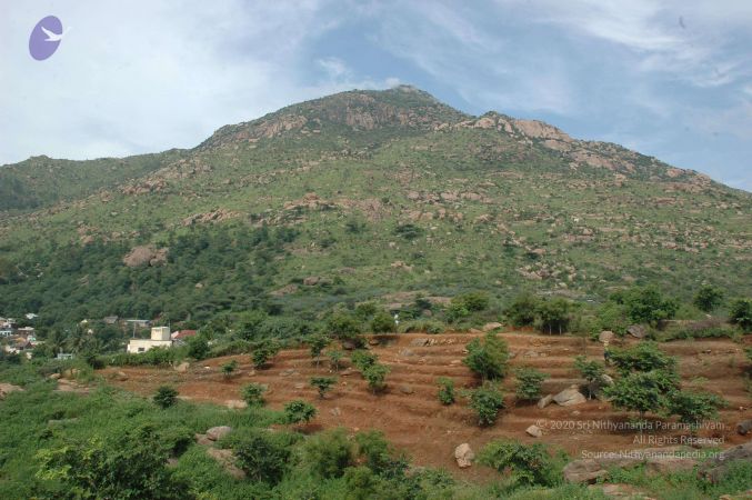 19890520 Photo 110 1Jywmp9EFRXGzseiuZ4JCx83i 1JVoG27.jpg