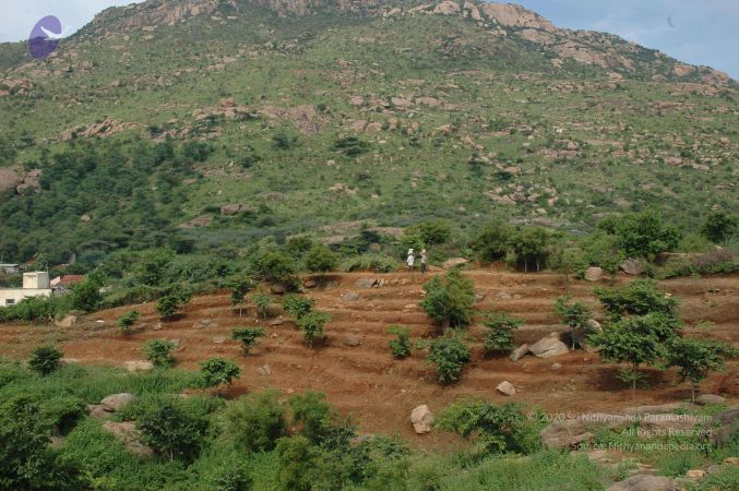 19890520 Photo 111 1CTgjEupj1Sk9kN8kdPoYVKsuFnu-eBLp.jpg