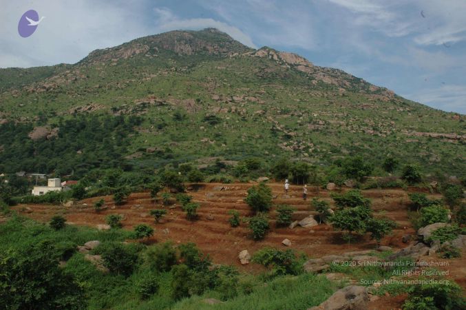 19890520 Photo 113 1EUHW7G4 GyMSNCYCJCtaKJz814jVeaVR.jpg