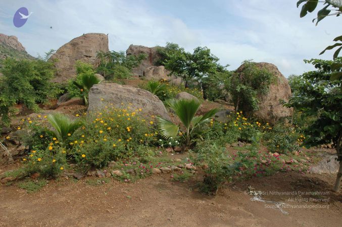 19890520 Photo 116 13-9YU1zhJmx72ourBFkLyMSpzOuV5nZB.jpg