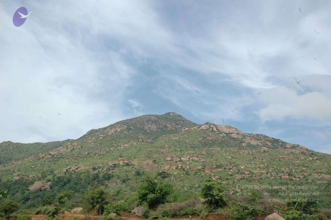 19890520 Photo 118 1gdwcVMXznIFMpYqCTmZXPIHPJDKgKh8o.jpg