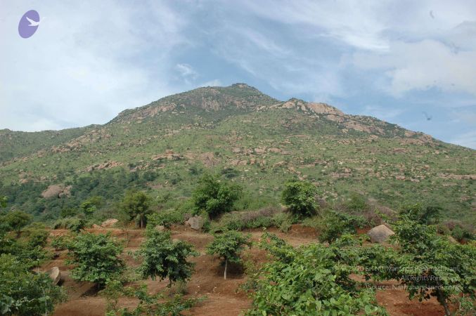 19890520 Photo 119 1wCJIHk2JT-6hAgPjpOuVskS2B4yAyjH5.jpg