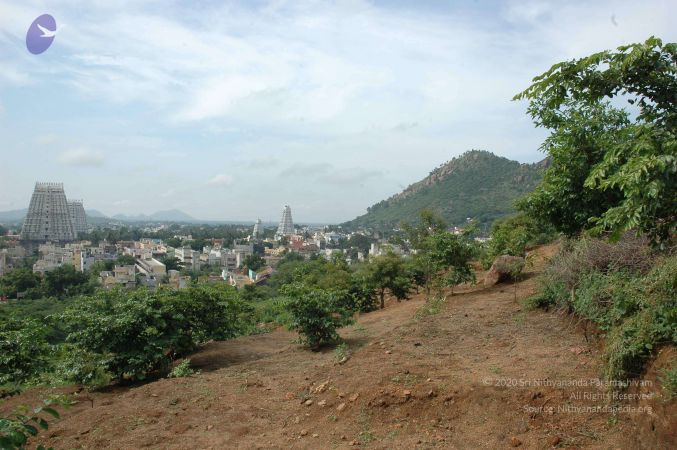 19890520 Photo 123 1NKGe2nrDBTckkiKe ruxLEufPl7cvlc .jpg