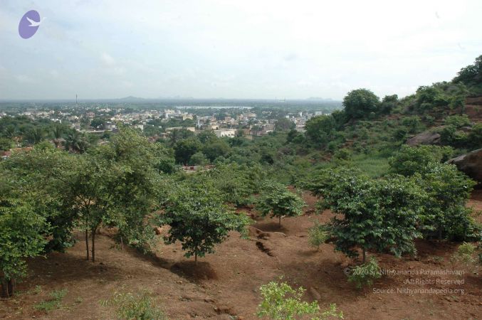 19890520 Photo 127 1Z6uZxciy8q5G1KAYgE4MJLIvEayvWwdg.jpg