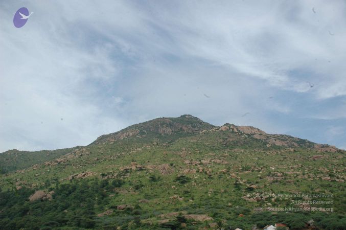 19890520 Photo 135 1-VLwDjpUkNbR08kJvXmiqYJoJ1tx2pyR.jpg