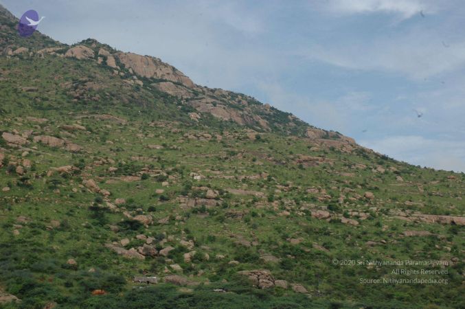 19890520 Photo 137 1HnmkT868MULdUegdM8NTYSWr6lL-Hh5y.jpg