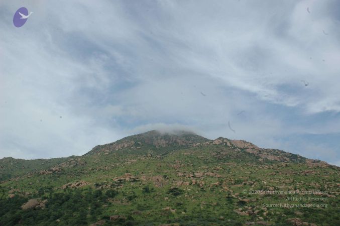 19890520 Photo 139 1pd2SrMGGHCSLpFm9q bxksKKxPE71s90.jpg