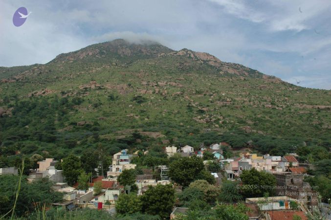 19890520 Photo 140 1fkJDYSf2wa3C3ZgJ3odFd1lKif6zZs4i.jpg