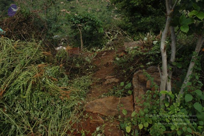 19890520 Photo 150 1aSzqjxG4KXTk-gR-vhGnBWOZnVboGj6b.jpg