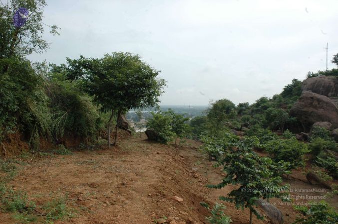 19890520 Photo 153 1gX2TrMk7aoIjwx7AfFyO03f0-T65XdU3.jpg