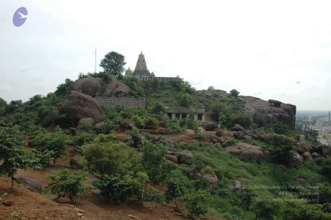 19890520 Photo 154 1Yw2hQZP7 RJpNtVVMGDh0LiuJEBdRHBu.jpg