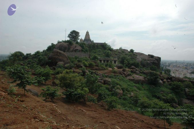 19890520 Photo 155 11uoFG9qPzXlrs9HJkXAUK7AMN OBFLBH.jpg