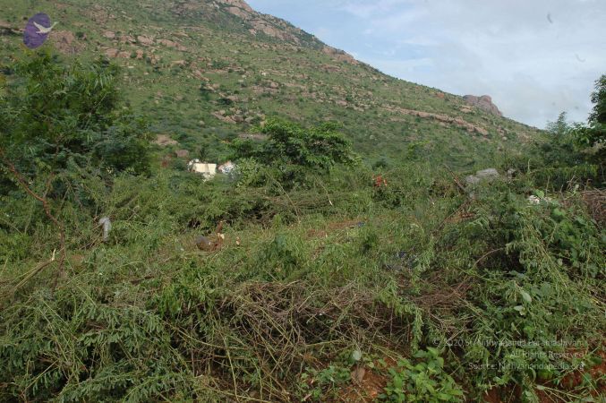 19890520 Photo 158 1e4SjNjycmR1OBii2swxij2InAEUR09up.jpg