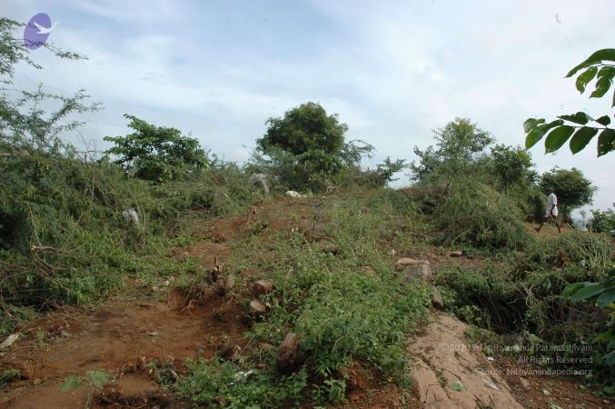 19890520 Photo 159 1hP2k-1rm2BX9LCUXuv fbEUek1n29z 9.jpg