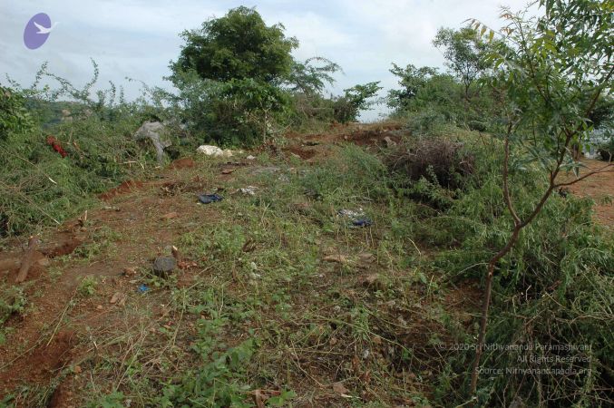 19890520 Photo 161 15PZr2naW0rbcRi-nxENvT69UsfLEJ0b2.jpg