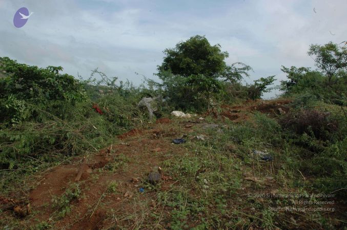 19890520 Photo 162 1zlpz0PDJ-hEcrAwztepOqOSE5p5ET6GE.jpg