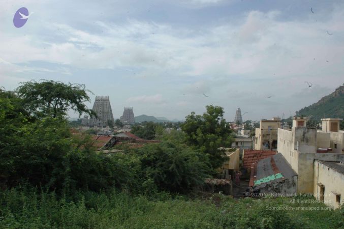 19890520 Photo 168 158DpAs kklemGCGEkUh3FAY7ctjY7 rO.jpg