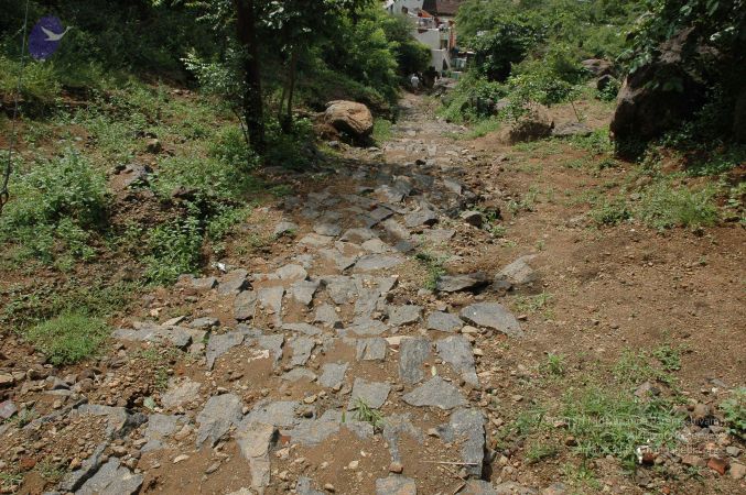 19890520 Photo 17 14MaoCKO3q dNNiigQFJWVqIajfhmh9Gq.jpg