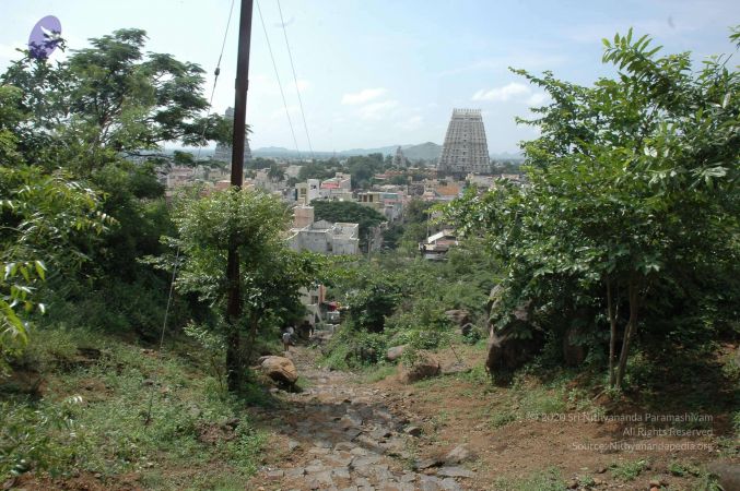 19890520 Photo 18 1nqmbPrpcvBJcnyQORzJGbp6eToK7rKC2.jpg