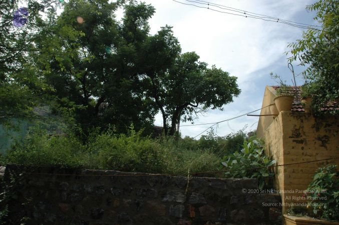 19890520 Photo 197 15QZsxRrQMdDskJ7OoCPN28ezUETahjGC.jpg