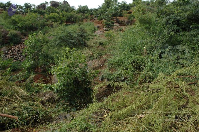 19890520 Photo 202 10Z-qKyMprBSC6tADk-DhkLc0tqYehjRF.jpg