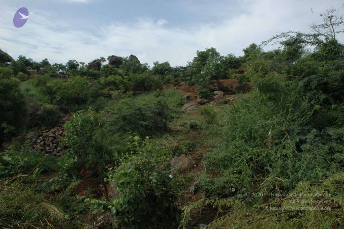 19890520 Photo 203 17wB2pv8KIvEXq 4a4qDIavqWNj9B0t6O.jpg