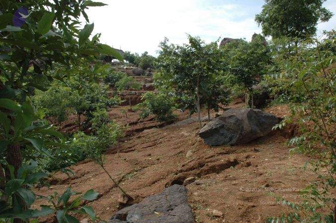 19890520 Photo 207 1-0-Ayw1Y6j27d4Ib1eycSpISVhB2 exI.jpg