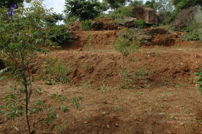 19890520 Photo 209 1Wv4foU8CceERpfYJ6mVc-3i3lP -ZV1s.jpg