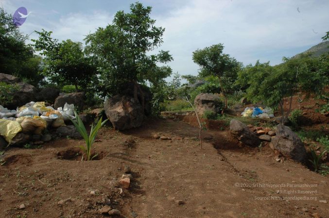 19890520 Photo 215 1nY09Y87mRu-sjjxBgAXeBGubMIy3uuvk.jpg