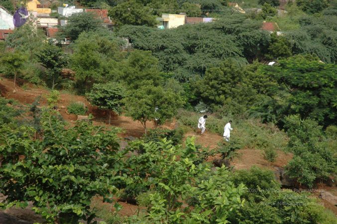 19890520 Photo 220 1Im59rU-bBSXggg3jql VIjACjQScXF6J.jpg