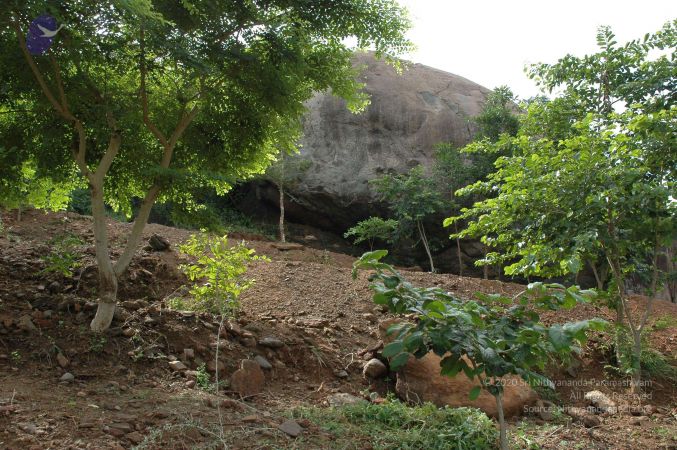 19890520 Photo 223 1lWemriVR9u7MdvwLWdQROOC01CWQaWRg.jpg