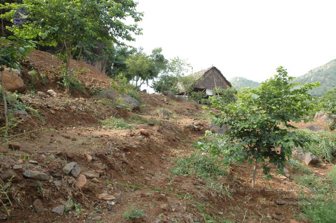 19890520 Photo 224 1QEVKnERQDHDccsnaLMSVOWBdYS4RgfJj.jpg