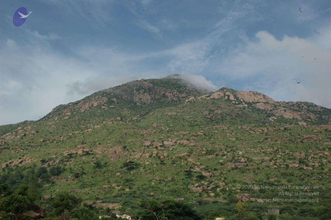 19890520 Photo 225 1wqUUqkZz2gacxYCLOLrMnbRuGx7fR1Ut.jpg