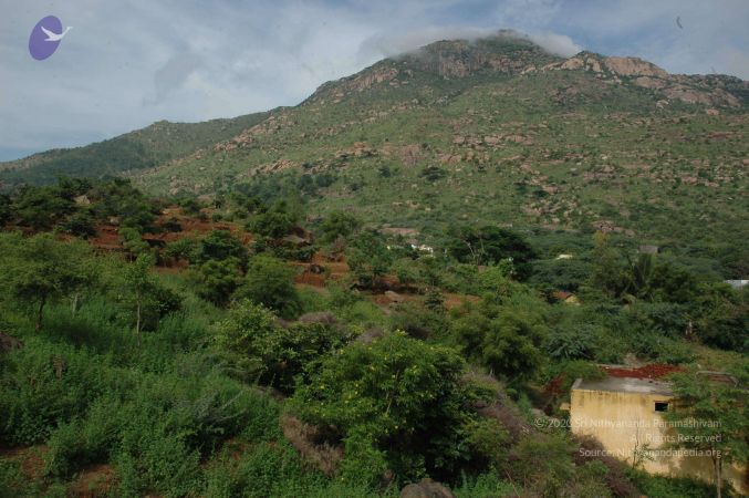 19890520 Photo 226 1f7dRyGuAeB2v8aEC GVK9pky8-NO4XIo.jpg