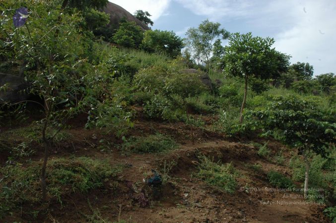 19890520 Photo 231 1eRQ9-XQew97R9rA9iSpUM0Ib14eObp9M.jpg