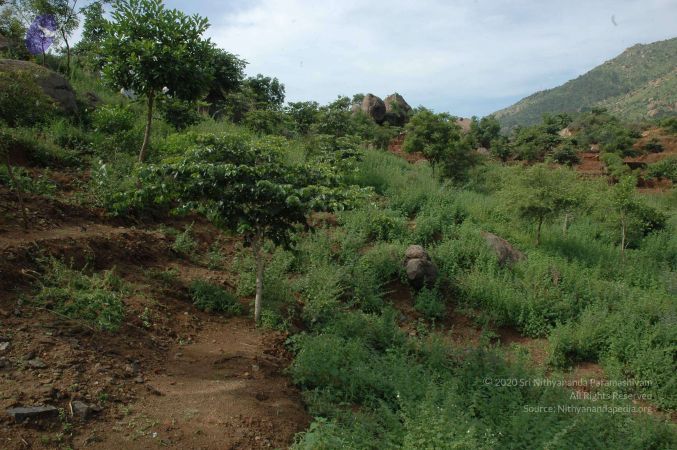 19890520 Photo 232 1B eZi8TJF4yt 3Jx3u5ea74qwN41Ka7R.jpg