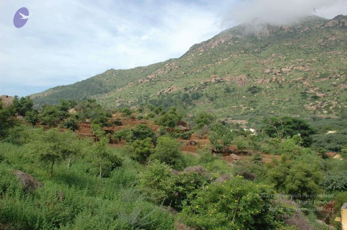 19890520 Photo 235 1q5MexVX9EAbCo6j1zwEnWmVHv2HQ37ze.jpg