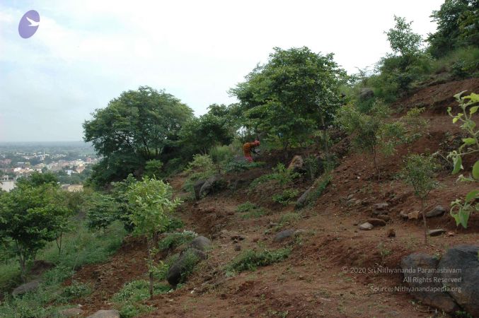 19890520 Photo 246 1jskIDwUUR9VfXHQzJDoi huW3LPWTGWu.jpg