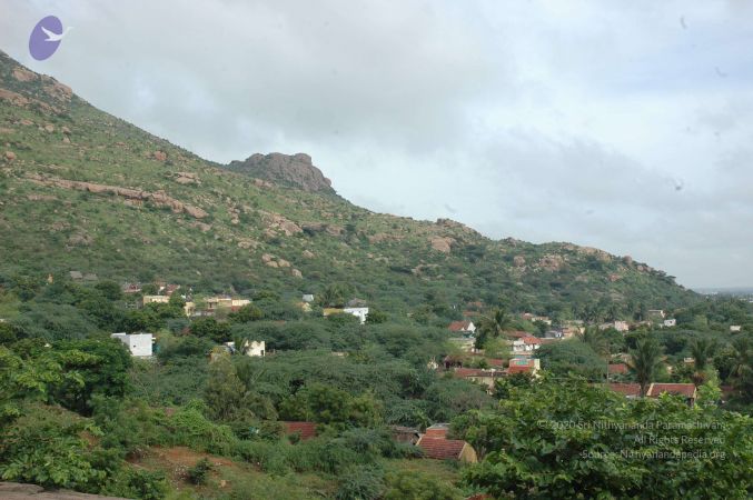 19890520 Photo 248 1160aGPh9AWnscC5elJT9xMMOjQ P6H2M.jpg