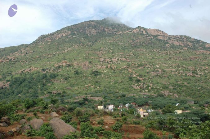 19890520 Photo 249 1Ox16iilDfvZmvHWK4D7JXLM3je EgaE3.jpg